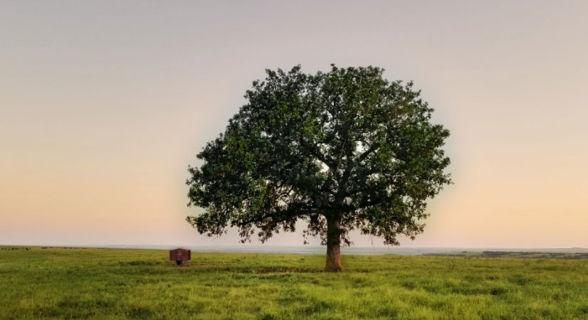 肩負重擔 推動我國經濟、社會<br>環境全面協調可持續發展